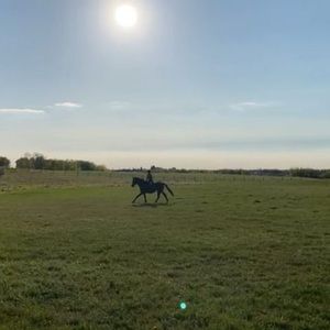 Meet your Posher, Holly